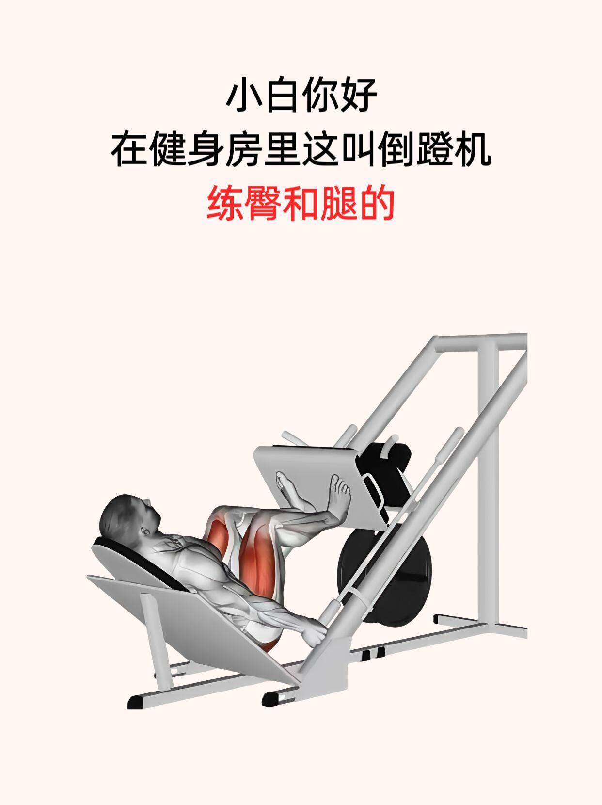 【图】为什么黑人肌肉发达?5个小点告诉你原因(图1)