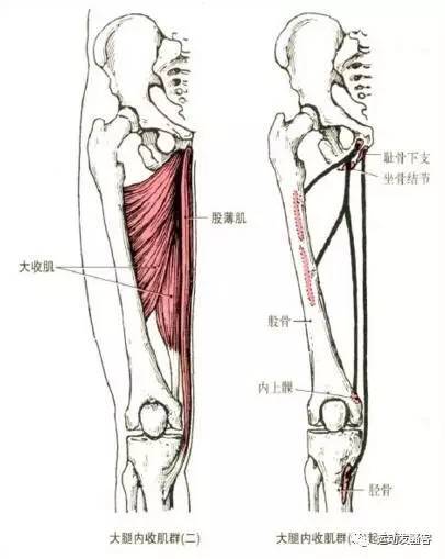 iOS93更新体验:系统稳定性增强电池耗电量下降(图1)