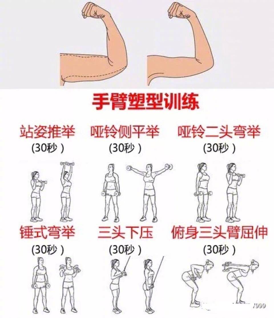 中山极速维密训练课程(图1)