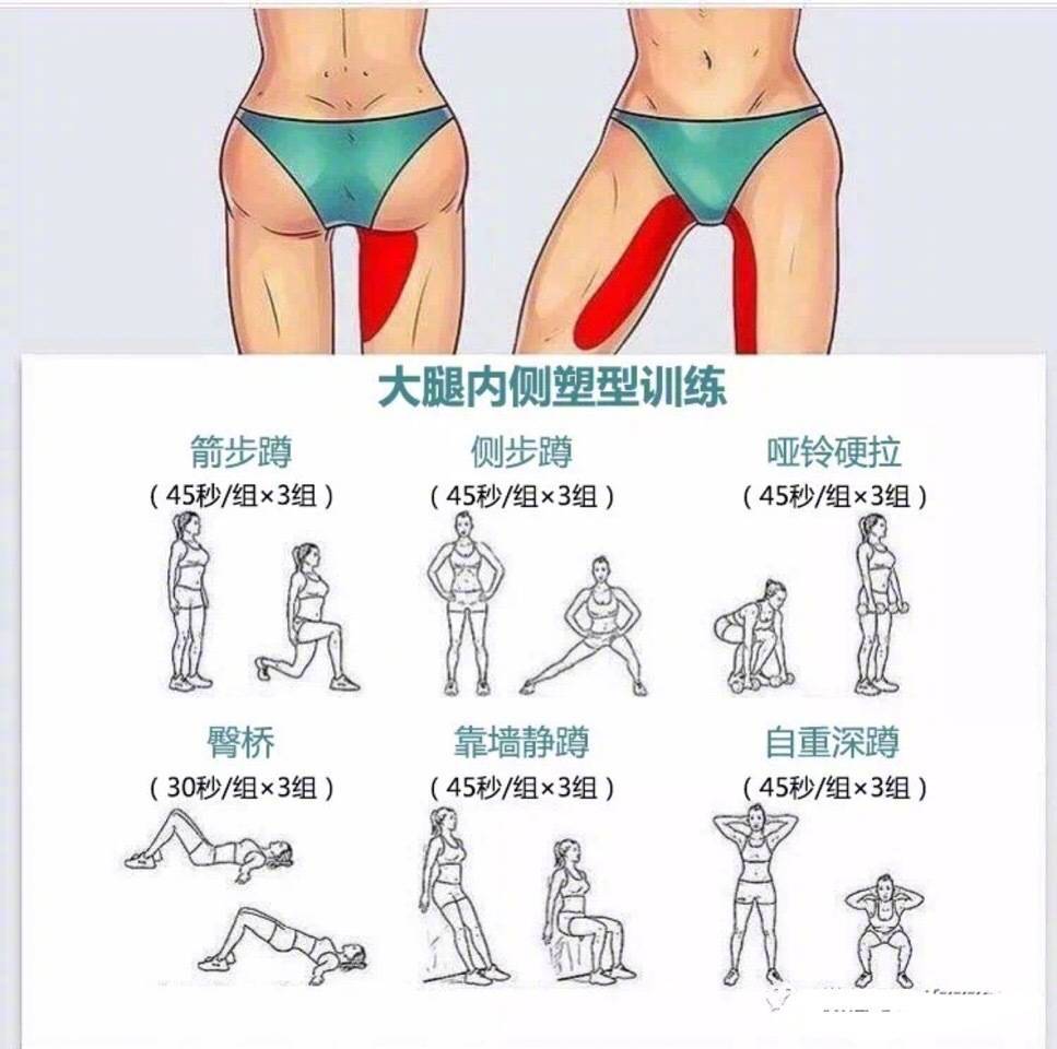 人体全身肌肉分布图(图1)