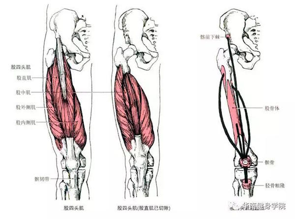 在顶峰位置保持1(图1)
