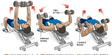 哑铃锻炼背部方法图解(图1)