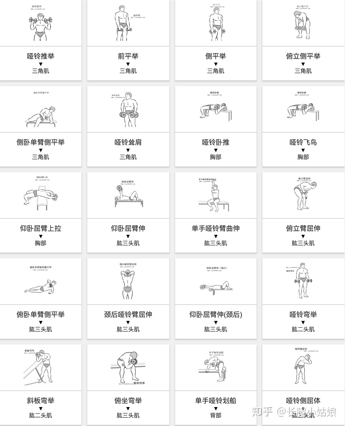 简单哑铃锻炼方法(图1)
