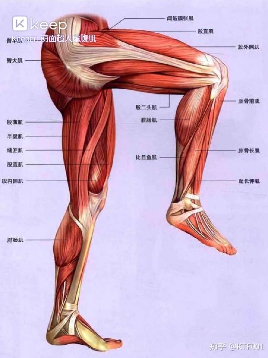 海军潜艇学院某基地组织鱼雷发射管逃生训练见闻(图1)