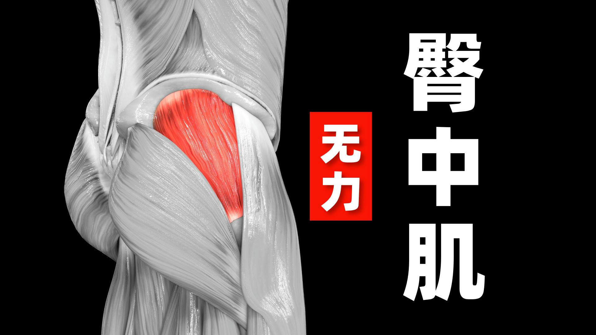 臀中肌功能锻炼方法docx(图1)