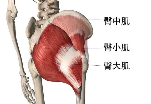 火柴人投掷闯关(图1)