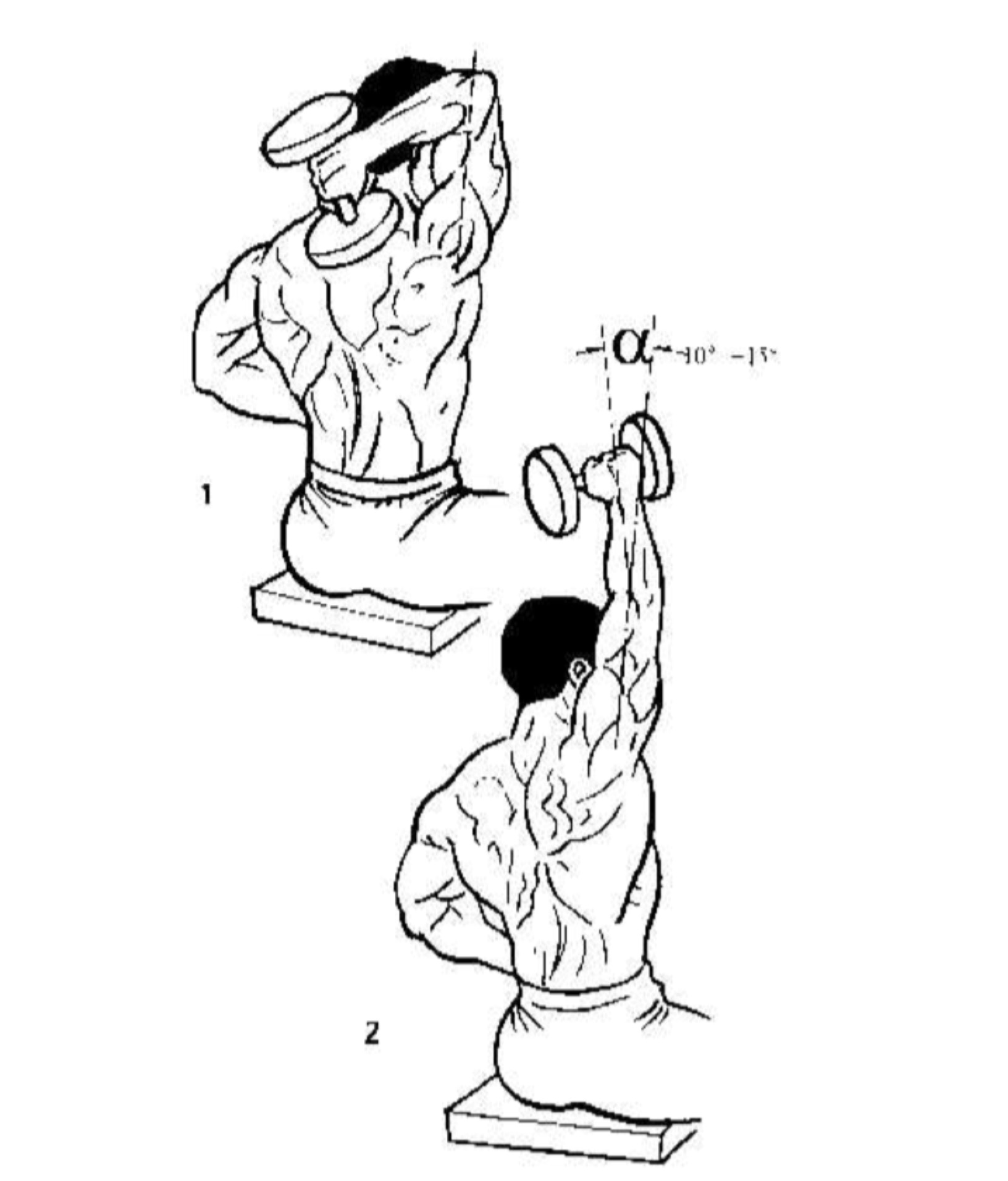哑铃锻炼方法教程(图1)